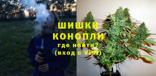 бошки Белокуриха