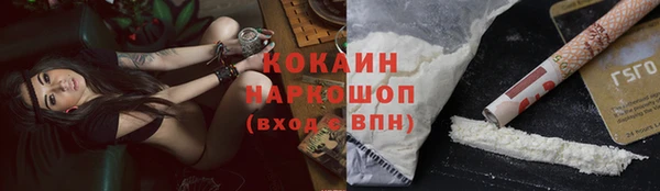 бошки Белокуриха
