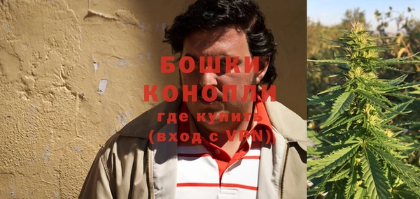 бошки Белокуриха