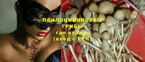 бошки Белокуриха