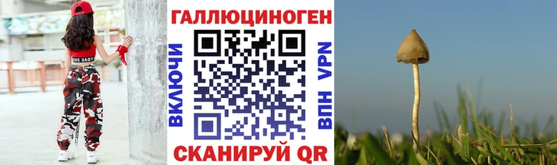 Псилоцибиновые грибы GOLDEN TEACHER  Купить где  Будённовск 